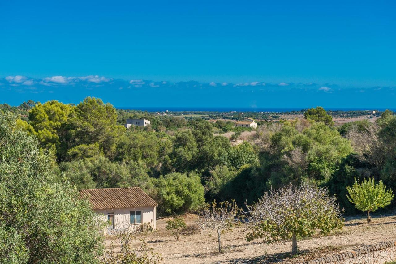 Son Colom Manacor (Mallorca)